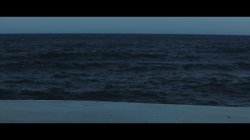 'Natural Beauty Vol. 11' screenshot nº 32