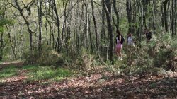Captura de 'Hikers, The' nº 45