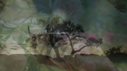 'MILF Oasis' screenshot nº 118