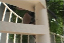 Captura de 'Assliciously Delicious 6' nº 3