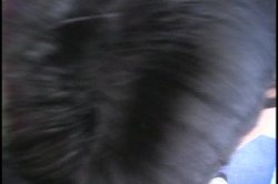 Captura de 'Horny Hairy Girls 12' nº 82