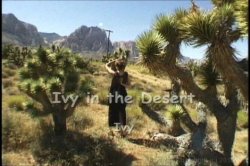 Captura de 'Horny Hairy Girls 12' nº 110