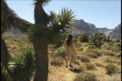 Captura de 'Horny Hairy Girls 12' nº 113