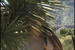 Captura de 'Horny Hairy Girls 12' nº 114