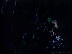 'Jail Bait' screenshot nº 45