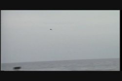'Surfside Sex' screenshot nº 8