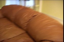 'Shane's World 30 - Keepin' it Real' screenshot nº 55
