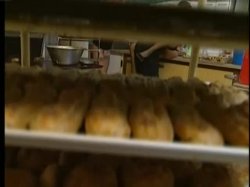 'Les Miches De La Boulangere (Bakery Buns)' screenshot nº 64