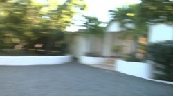 'Shane's World 42 - Paradise Island' screenshot nº 2
