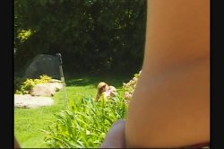Captura de 'Anal University 5' nº 92
