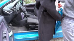 'Quick Roadside Fuck' screenshot nº 3