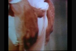Captura de 'DD Dynamite Girls' nº 26