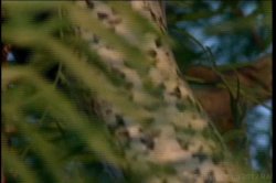 Captura de 'Wicked Woman' nº 5