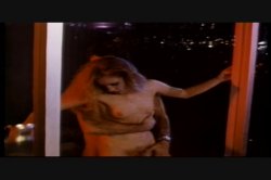 'Undercovers' screenshot nº 124