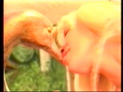 'Feather' screenshot nº 56