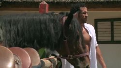 'Busty Riding Academy' screenshot nº 46