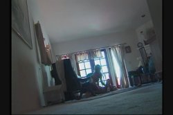 'Anal University 11' screenshot nº 75