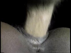 Captura de 'Black Knockers 4' nº 71