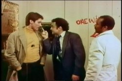 Captura de 'Cult 70s Porno Director 5: Carter Stevens' nº 37