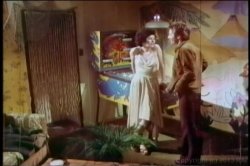 Captura de 'Cult 70s Porno Director 5: Carter Stevens' nº 79