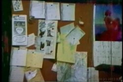 Captura de 'Cult 70s Porno Director 5: Carter Stevens' nº 3