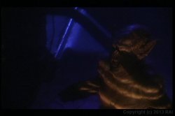 'Dark Angels' screenshot nº 134