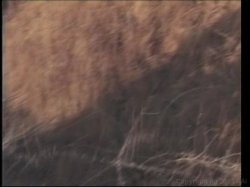 'Groupies 2' screenshot nº 46