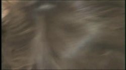 Captura de 'Manhattan Latin' nº 136