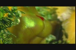 'Pick Up Babes 8' screenshot nº 116