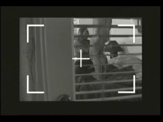 Scene 5