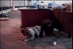 'Streets of New York 1' screenshot nº 77