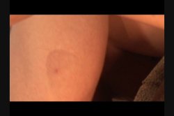'4-Hour Tattoos' screenshot nº 78