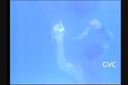 Captura de 'Deep Jaws' nº 86