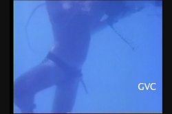 Captura de 'Deep Jaws' nº 87