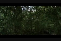 Captura de 'Hot Sex In Saint Tropez' nº 3