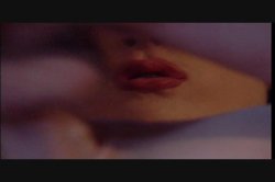 Captura de 'Puritan Video Magazine 1' nº 133