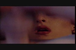 Captura de 'Puritan Video Magazine 1' nº 136