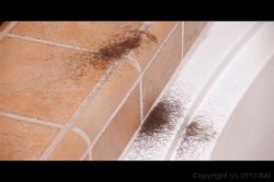 'Hairy To Shaved' screenshot nº 111