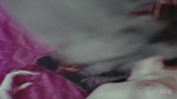 Captura de 'Foxy Lady' nº 17