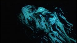 Captura de 'American Bukkake 36' nº 100