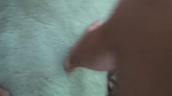 Captura de 'Audition, The' nº 100