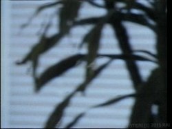'Mommy Queerest' screenshot nº 115