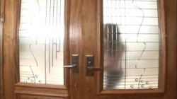Captura de 'CFNM Secret 2' nº 125