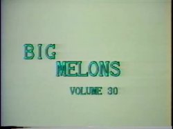 'Big Melons Vol. 30' screenshot nº 4