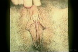 'Nina Hartley's Guide to Better Cunnilingus' screenshot nº 51