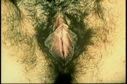 'Nina Hartley's Guide to Better Cunnilingus' screenshot nº 52