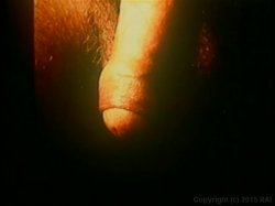Captura de 'Nina Hartley's Guide to Better Fellatio' nº 21