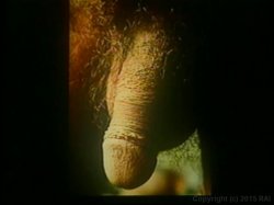 Captura de 'Nina Hartley's Guide to Better Fellatio' nº 23