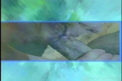 'Once a Year' screenshot nº 4