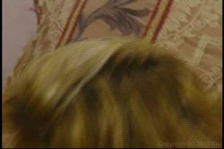 'Once a Year' screenshot nº 71